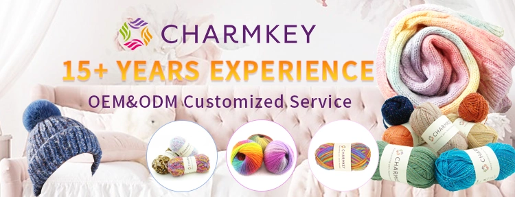 Charmkey Soft Polyester Fancy Yarn 400g 500g T Shirt Yarn Cotton Yarn Hand Knitting Bag